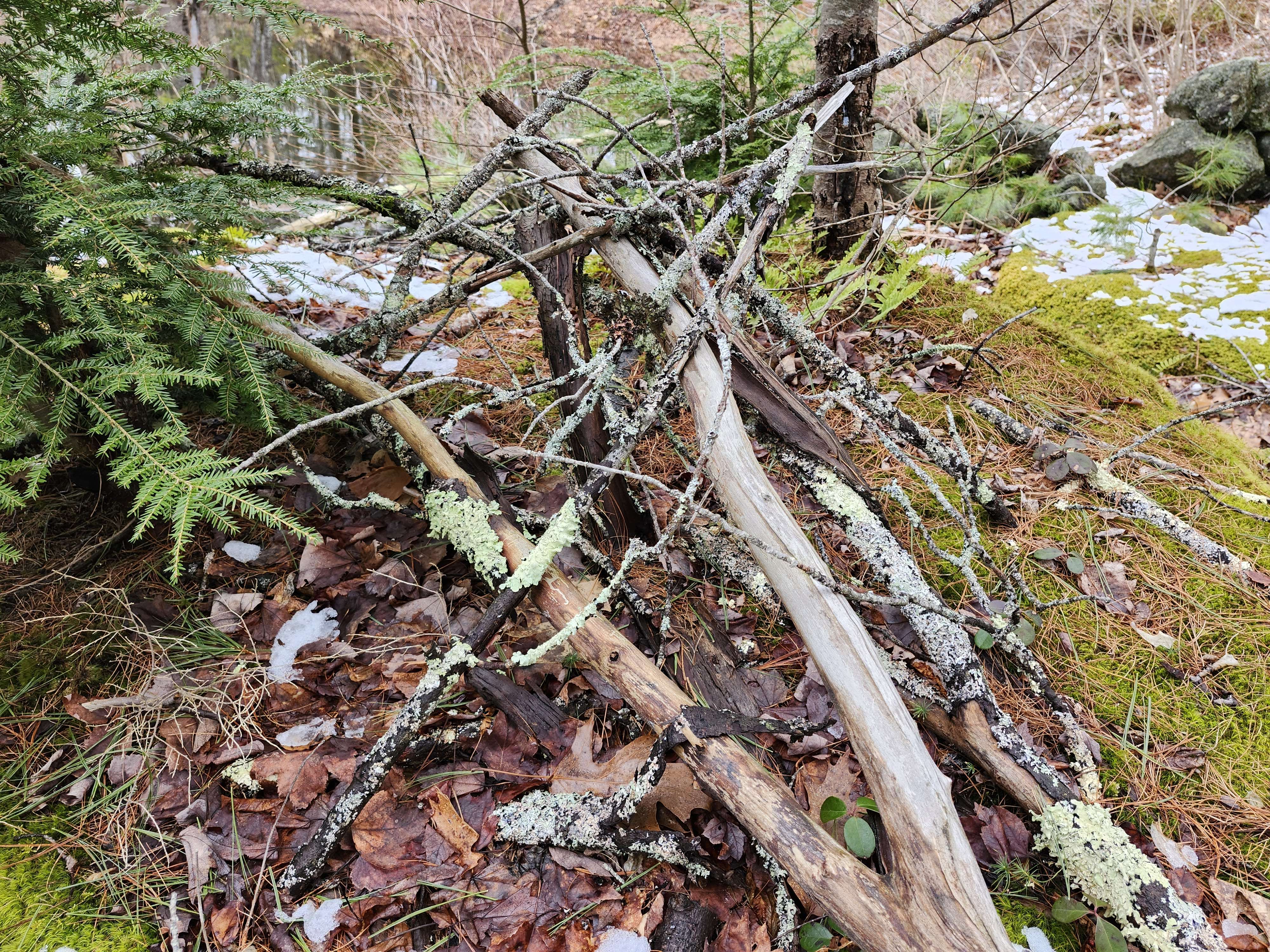 Stump